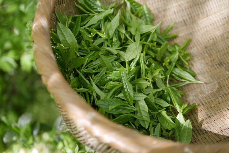Exotic Teas